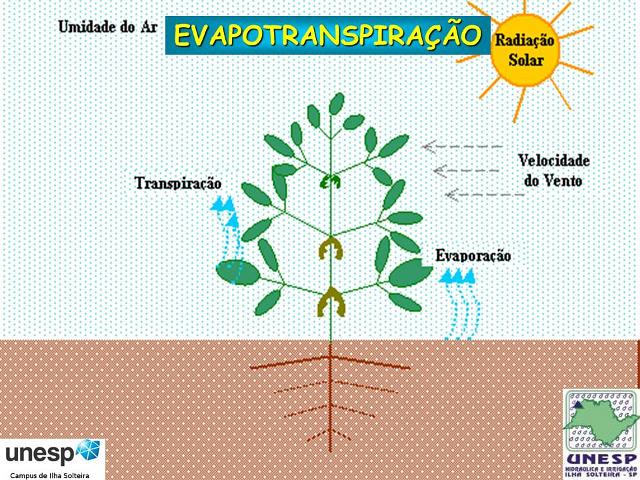 fernandopolis_25abr2012 (55).JPG